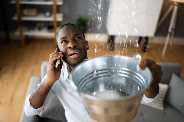 Best Basement water damage restoration  in Crystal River, FL