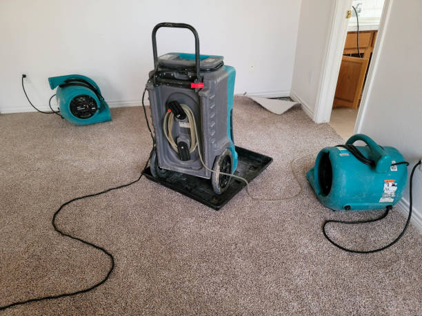 Carpet water damage restoration in Crystal River, FL