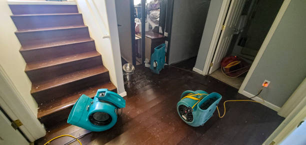 Best Water damage restoration specialists  in Crystal River, FL
