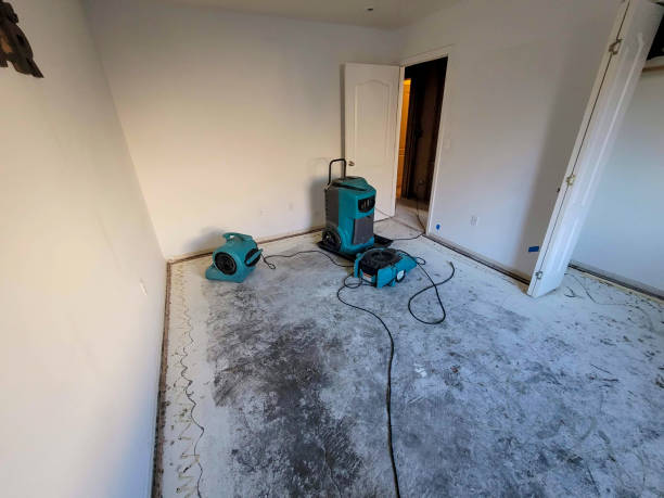 Best Emergency water damage restoration  in Crystal River, FL