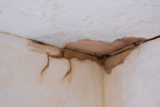 Best Fire Damage Restoration  in Crystal River, FL