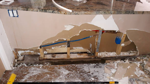 Best Carpet water damage restoration  in Crystal River, FL