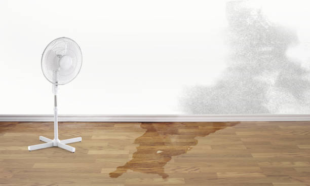 Reliable Crystal River, FL Water damage restoration Solutions