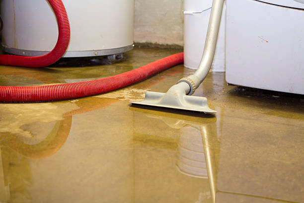 Best Water damage restoration services  in Crystal River, FL