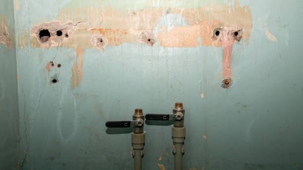 Best Ceiling water damage repair  in Crystal River, FL