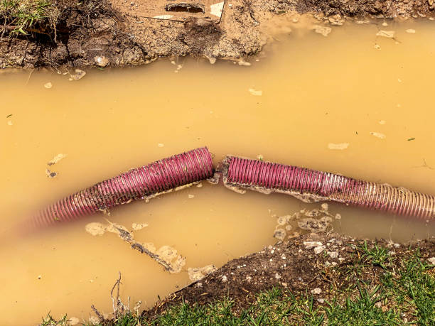 Best Water damage restoration near me  in Crystal River, FL